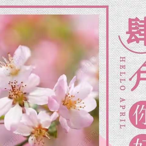 晗山悦海物业管理中心4月份工作汇总