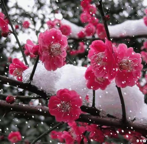 强国有我   为祖国点赞