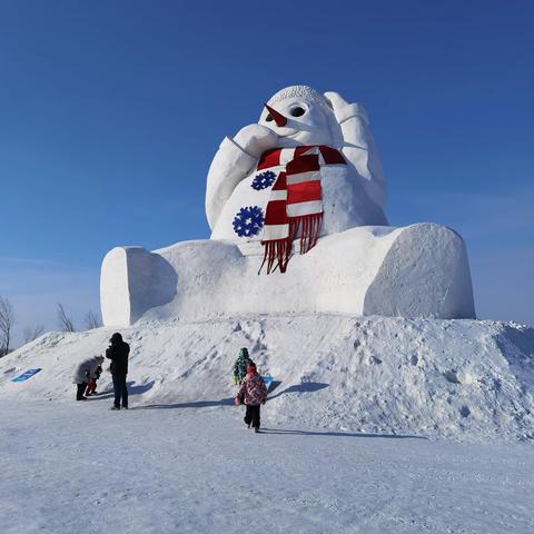 孩子的快乐就是这么简单，让宝贝感受一下玩雪的乐趣，和雪来个亲密接触，玩的开心，玩出童年的快乐。