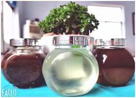 肝病科特色中医诊疗，冬病夏治三伏贴免费活动进行中