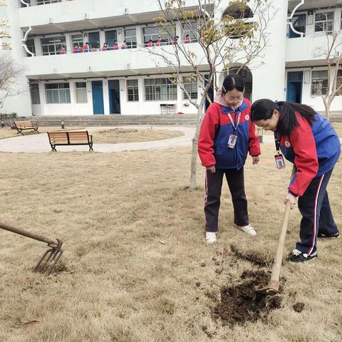 同筑青春梦，共植“青年林”——屯桥中学开展团员植树活动