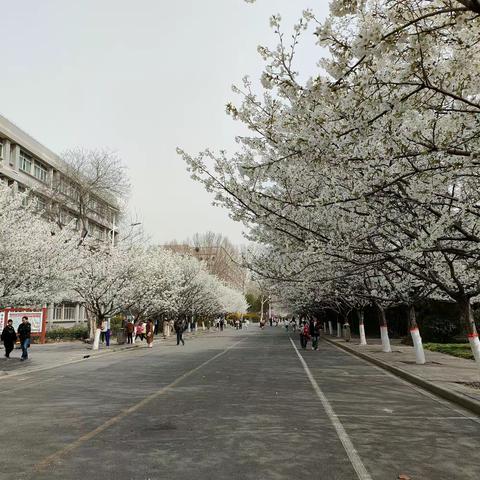 升华教师教育情怀，提高数学理论水平