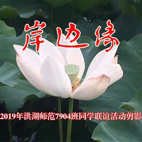 2019年洪湖师范7904班同学联谊活动剪影