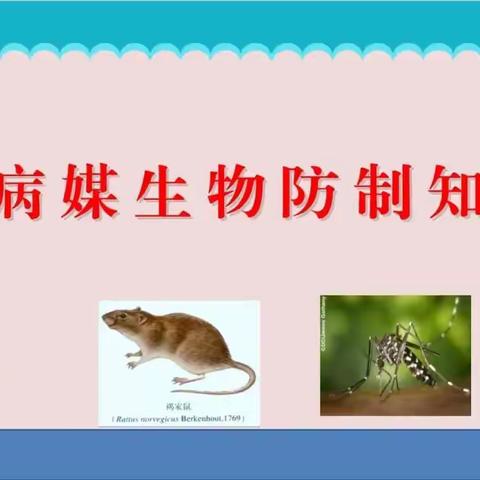 病媒生物防制健康知识宣传