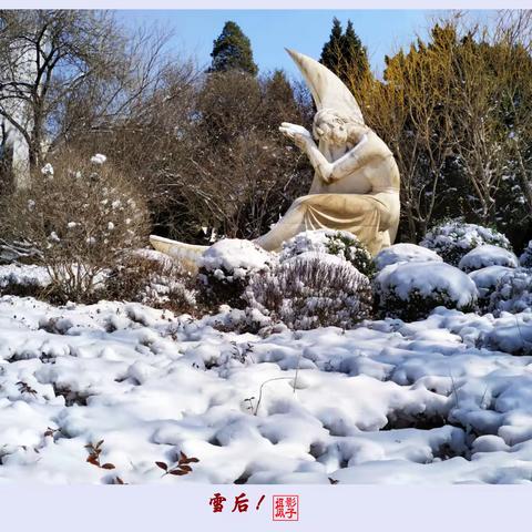 春雪--劳动公园随拍