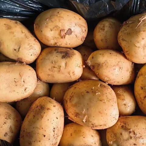 华联品鲜汇生活超市（东益店）周三周四会员日（7月5日——7月6日）