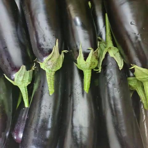 华联品鲜汇生活超市（东益店）周三周四会员日（8月 2日——8月3 日）