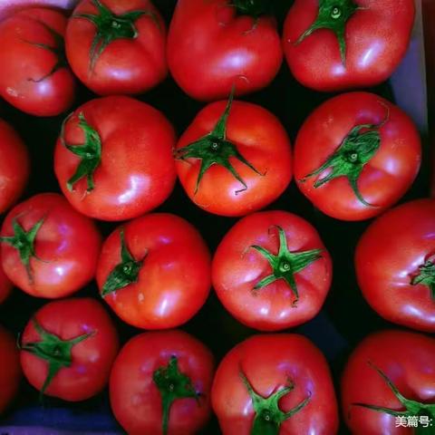 华联品鲜汇生活超市（东益店）周三周四会员日（8月 9日——8月10日）