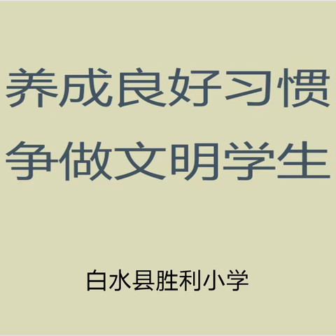 养成良好习惯   争做文明学生——胜利小学开展主题教育活动