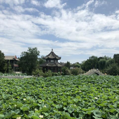 理想中的岁月静好，都藏在这座古城中