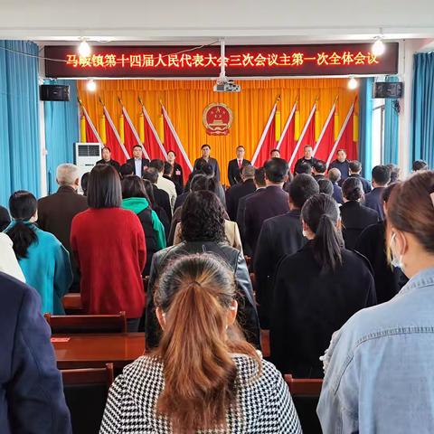 马畈镇胜利召开第十四届人民代表大会第三次会议