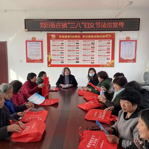法治卢龙 人大代表在行动