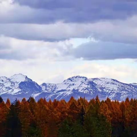 峰高山长白，谷深叶秋红