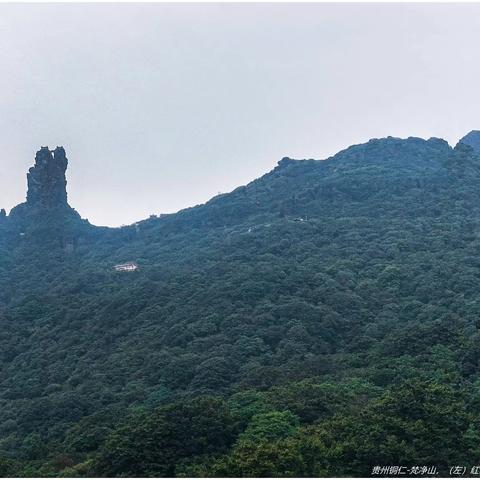 登梵净山