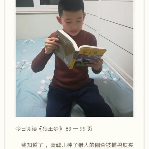 “与经典相伴，乐为书香少年”——窑上小学246班