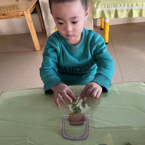 金色摇篮幼儿园小三班的精彩瞬间