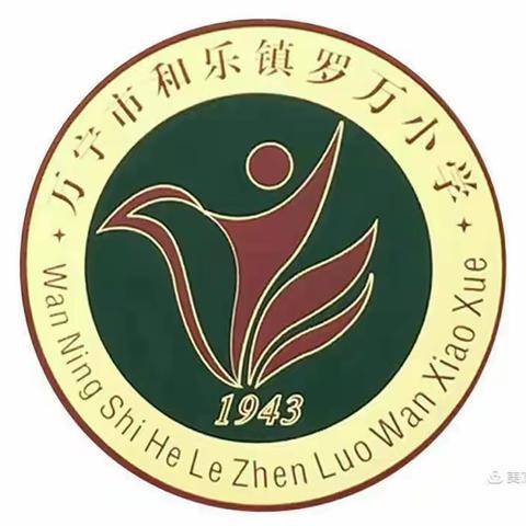 和乐镇罗万小学停课不停学架起“空中课堂”