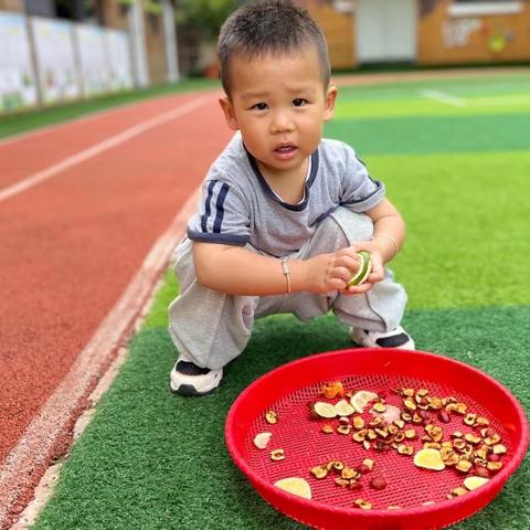 “💗爱在秋日🍂”——爱町堡幼儿园小小一班