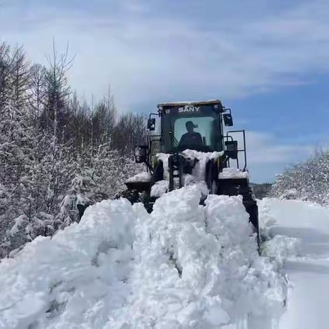 新林林业局中心苗圃“齐心协力”共同抗击暴雪