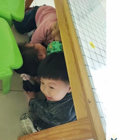 人和镇金宝贝幼儿园小二班一周活动集锦