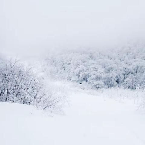 雪落的思念