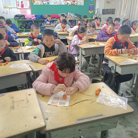 鹊华小学三年级（4）水果发电