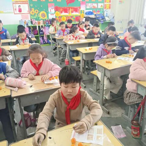 鹊华小学三年级（3）水果发电