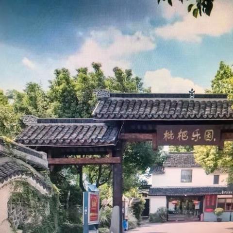 元宵节前夕沪上农家乐青浦枇杷园年味浓红火