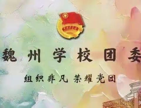 魏州学校团委三月份工作总结