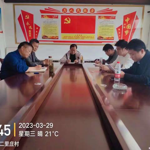 梯门镇市派第一书记临时党支部3月份第二次双周例会