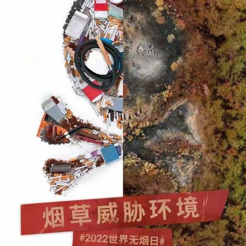 烟草威胁环境——南口分院开展“世界无烟日”宣传活动