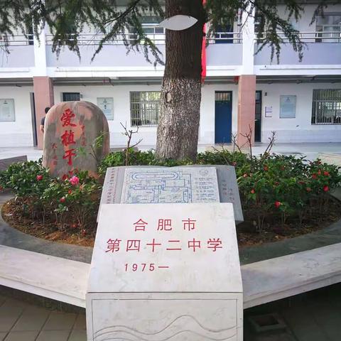 阳光正好，学习有道