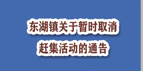 东湖镇关于暂时取消赶集活动的通告