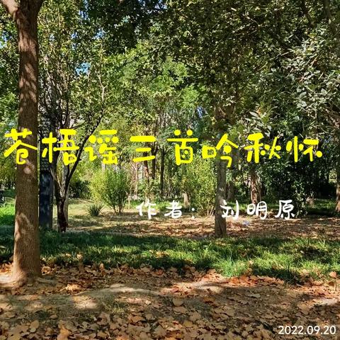 苍梧谣三首吟秋怀