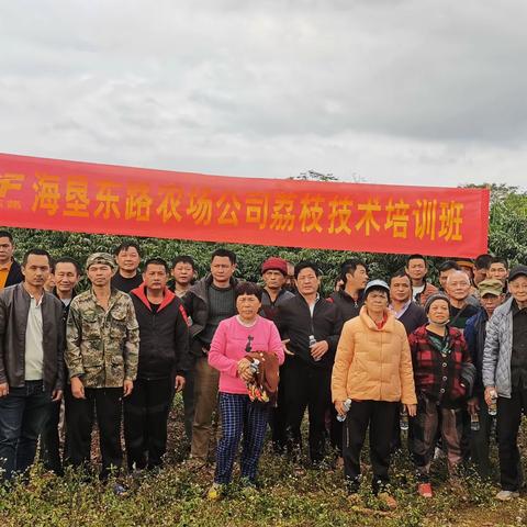 东路农场公司举办荔枝技术培训班——为果农送去及时雨  助力果农增收增产