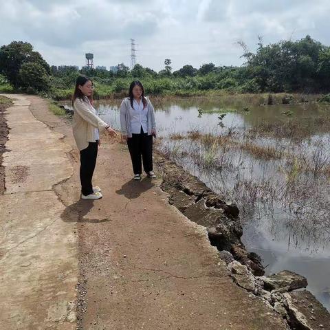 网格员关注民生，助力生产道路修建