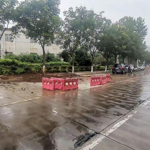 市控尘专班工作动态