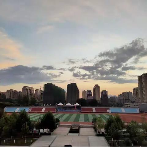 回访母校实践作业