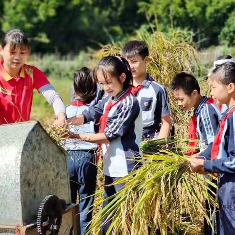 “双减”落地在行动，劳动实践促成长——五塘镇中心学校六（2）班德育实践活动