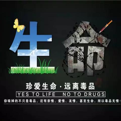 预防毒品危害，保障身心健康