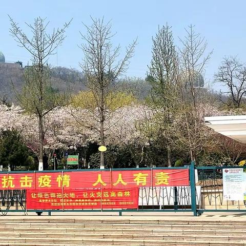 我的后花园青岛植物园