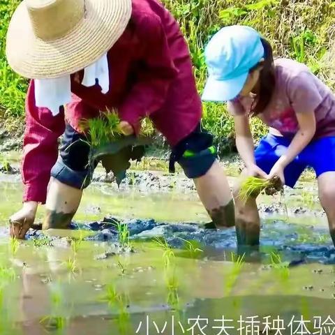 【山野少年行】小种子绘本馆端午特别活动