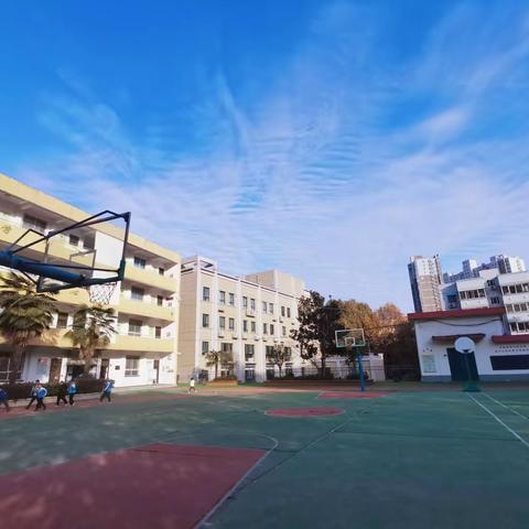 龙泉小学双减背景下|丰富多彩的体育类课后服务