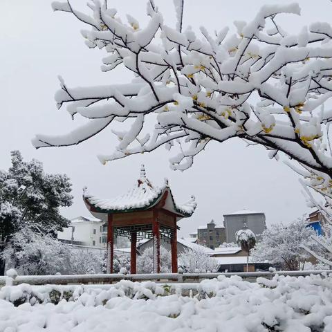 2022年的第一场雪（京山钱场中学）