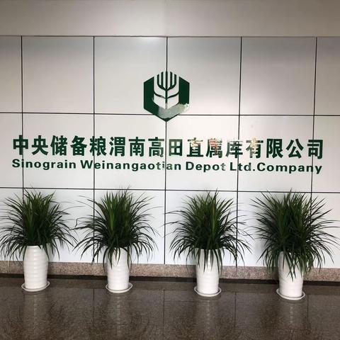 中储粮渭南高田直属库有限公司召开第一协作区党建工作标准化观摩会