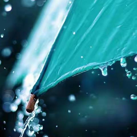 笔乐分享        高紫雯