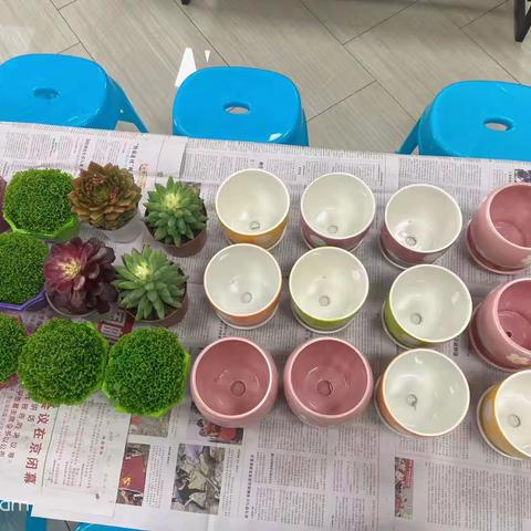 友爱街“多肉盆栽”活动简讯