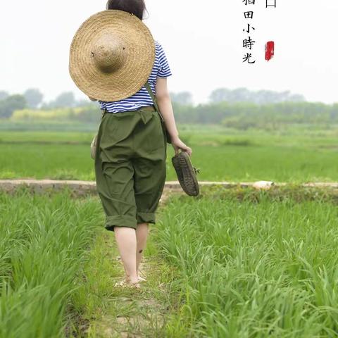 那年夏天，麦田里的守望者