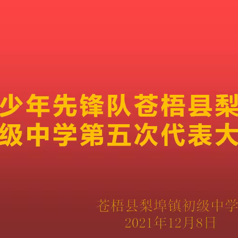 【党建引领 】中国少年先锋队苍梧县梨埠镇初级中学第五次代表大会