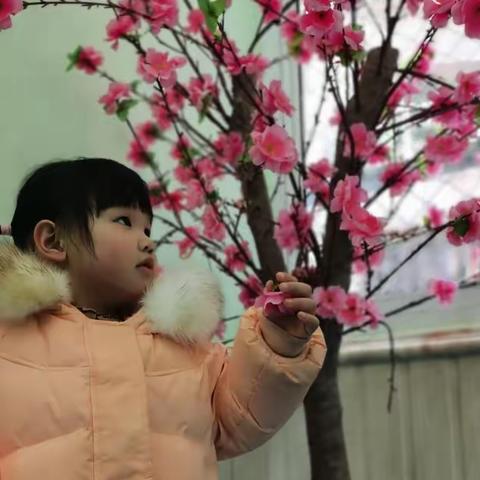 🌸平昌小天才幼儿园🌸🌿小一班🌿张清怡小朋友个人美篇